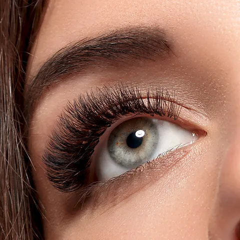 Wimpern